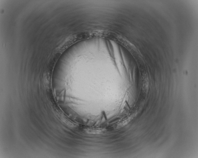 X0000080700661200701050946