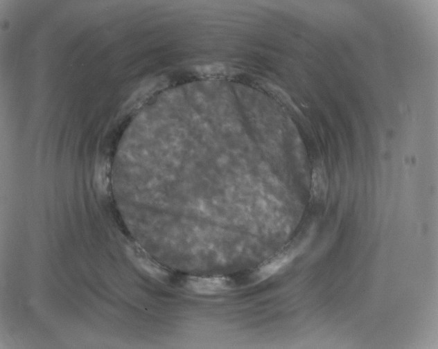 X0000080700671200701050946