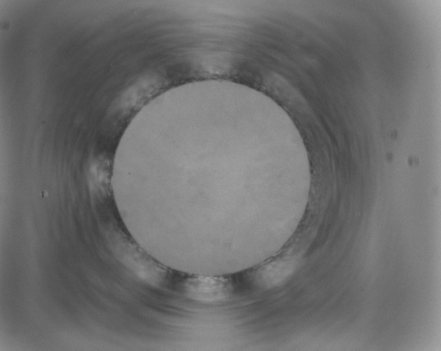 X0000080700672200701050946
