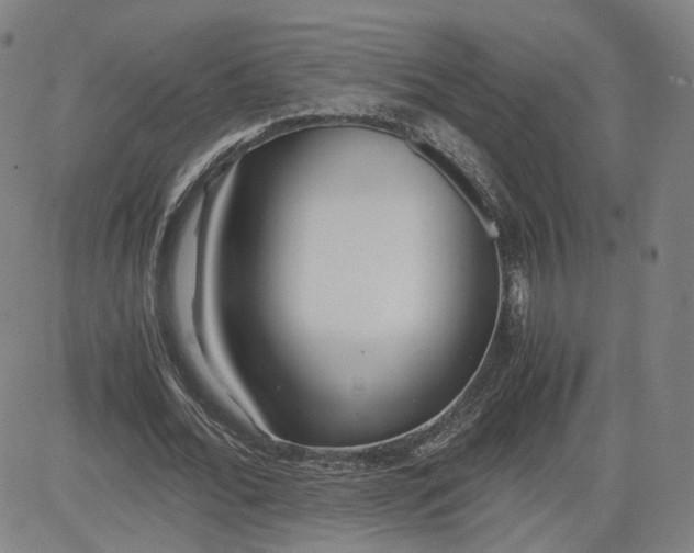 X0000080700676200701050945