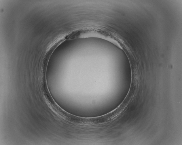 X0000080700677200701050945
