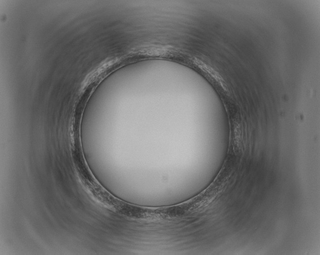 X0000080700682200701050945