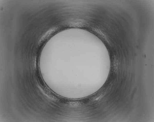 X0000080700686200701050945