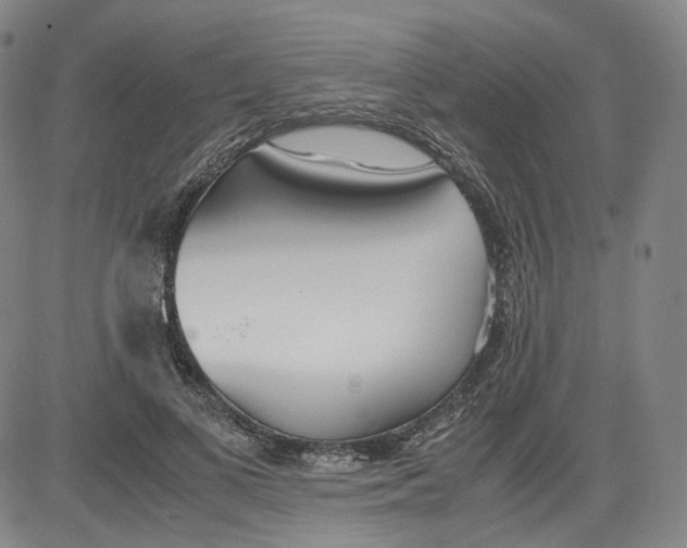 X0000080700693200701050945