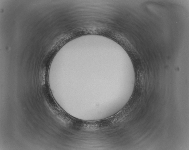X0000080700694200701050945
