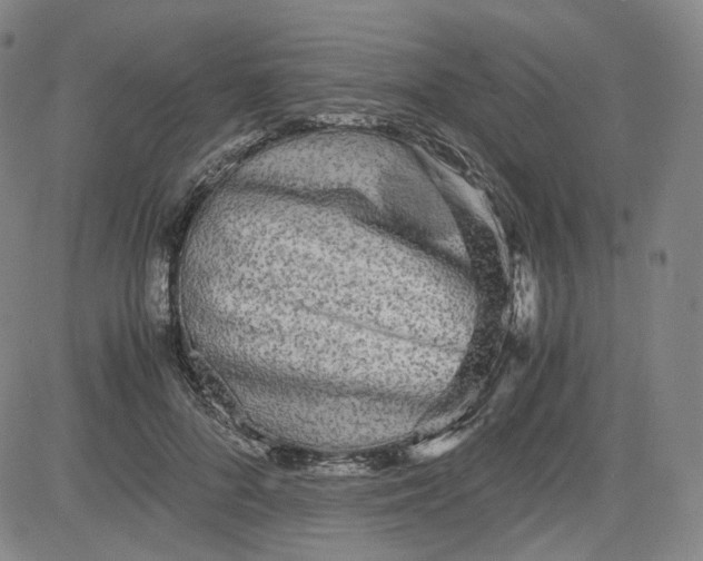 X0000080700696200701050945
