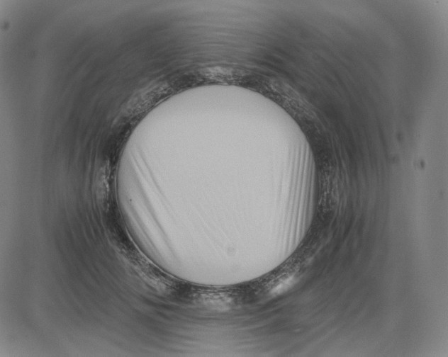 X0000080700702200701050945
