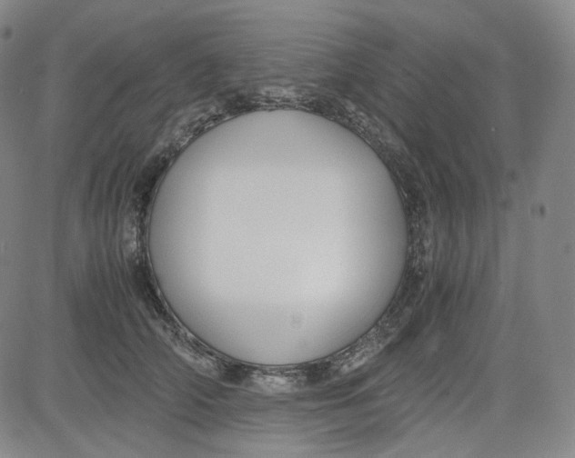 X0000080700706200701050945