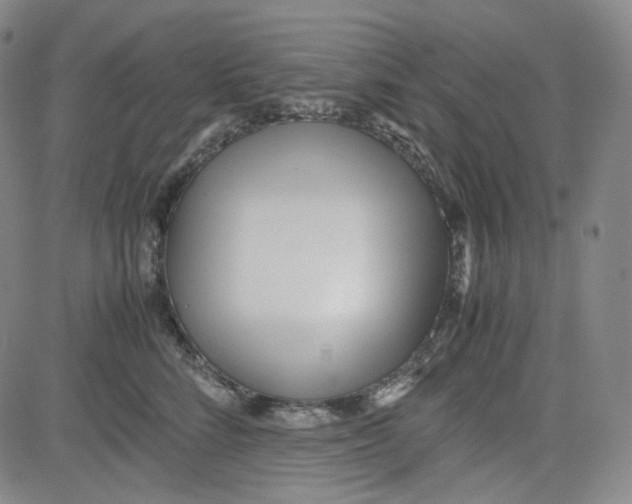 X0000080700712200701050945