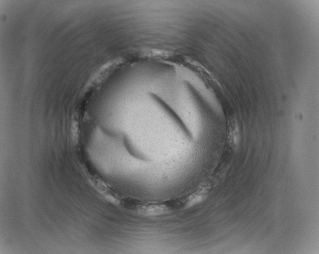 X0000080700716200701050944