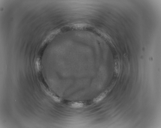 X0000080700718200701050944