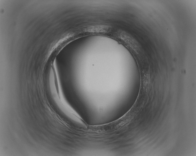 X0000080700727200701050944