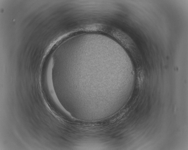 X0000080700728200701050944