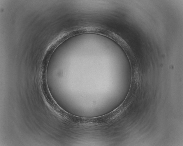 X0000080700730200701050944