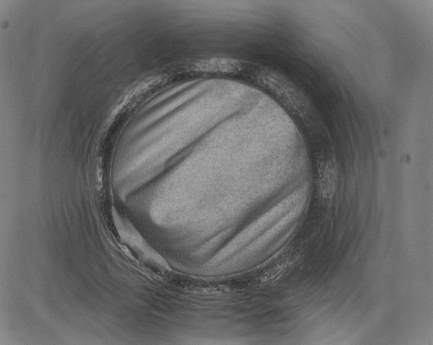 X0000080700731200701050944