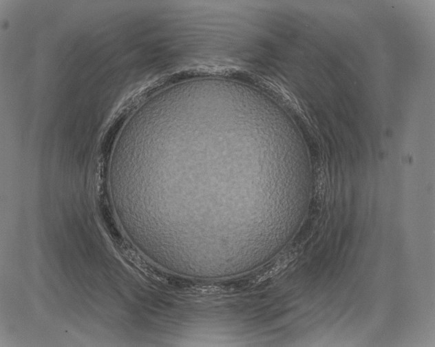 X0000080700736200701050944