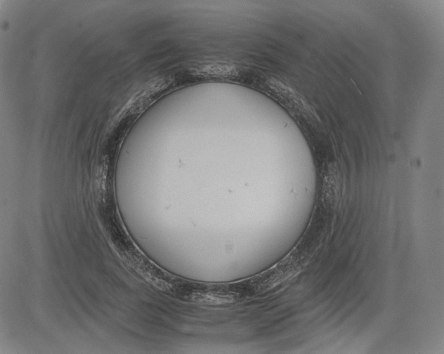 X0000080700739200701050944