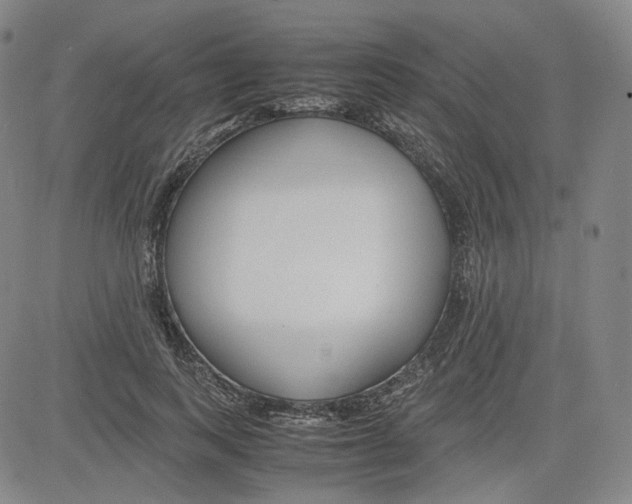 X0000080700743200701050944