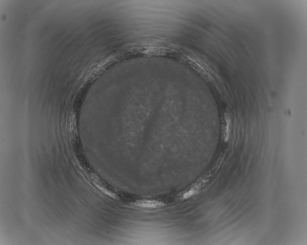 X0000080700748200701050944
