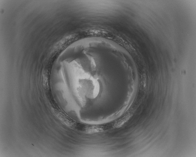 X0000080700754200701050944