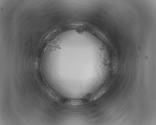 X0000080700758200701050944