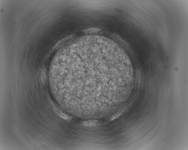 X0000080700761200701050944