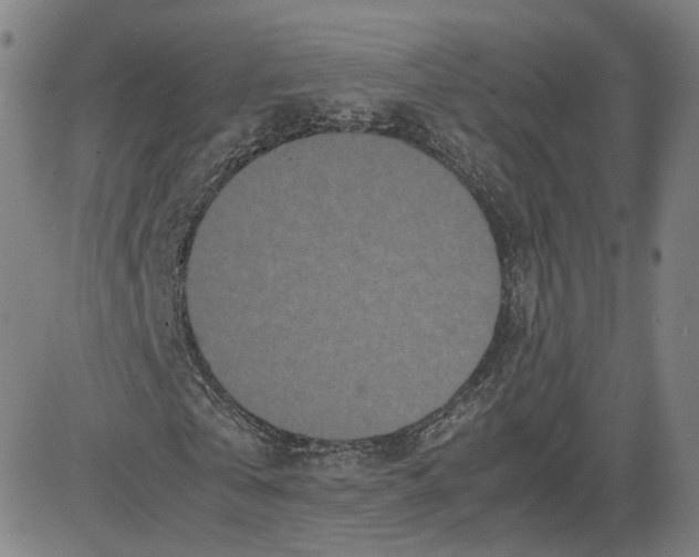 X0000080700769200701050944