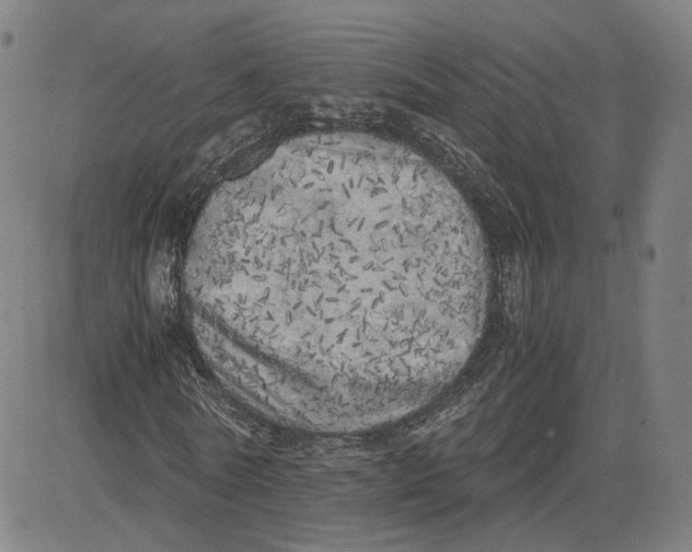 X0000080700770200701050944
