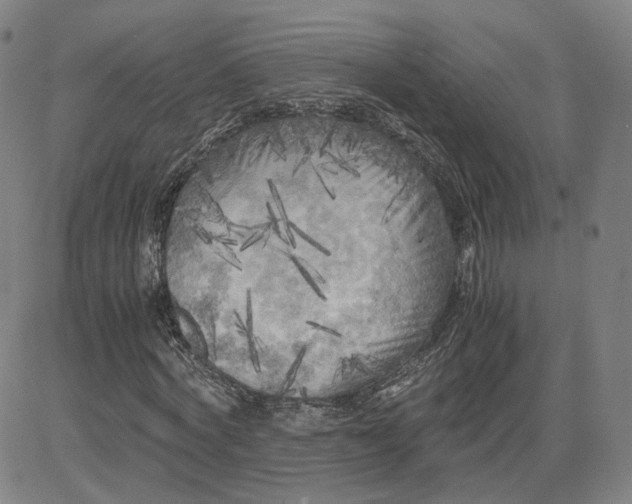 X0000080700772200701050944