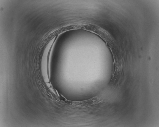 X0000080700773200701050944