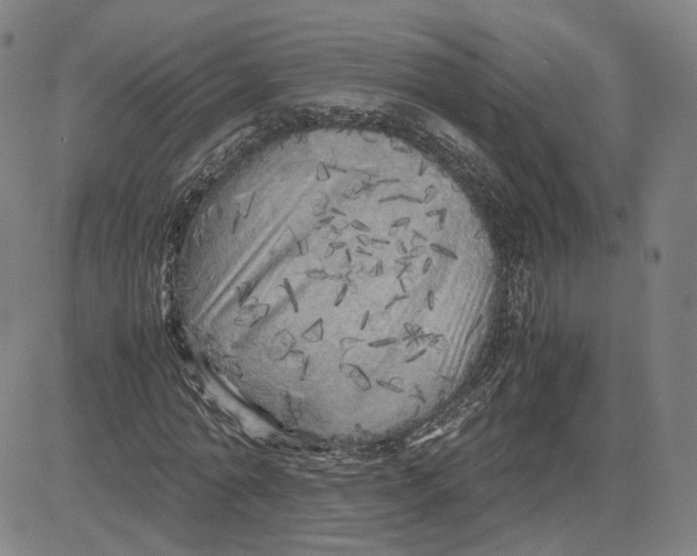 X0000080700774200701050944