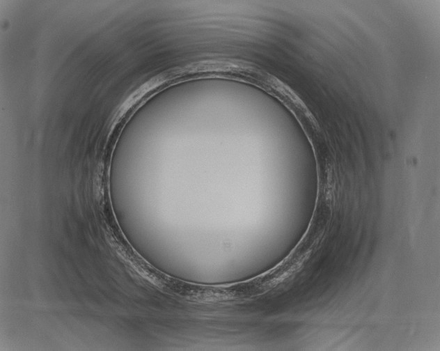 X0000080700786200701050943