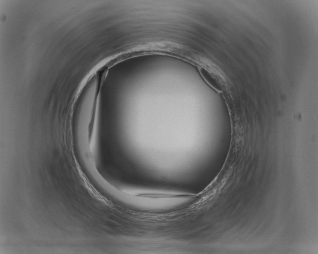 X0000080700792200701050943