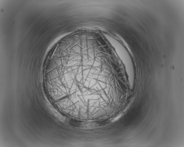 X0000080700795200701050943