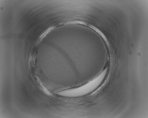 X0000080700809200701050943