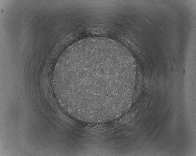 X0000080700817200701050942