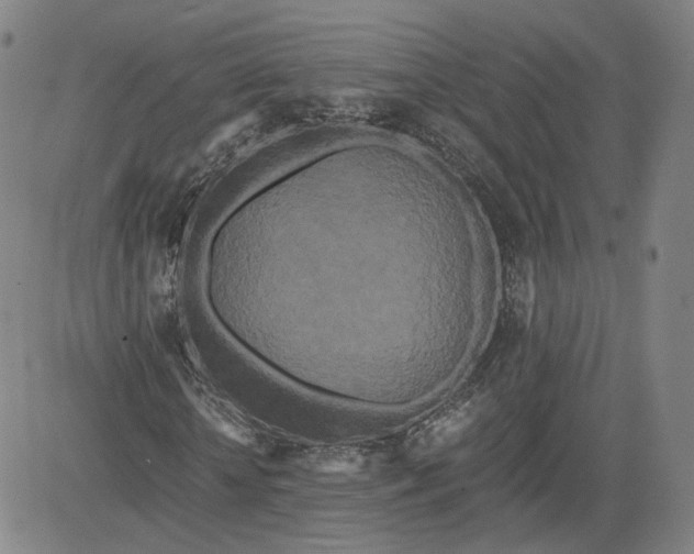 X0000080700818200701050942
