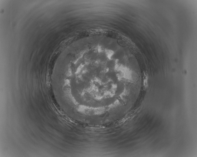 X0000080700819200701050942