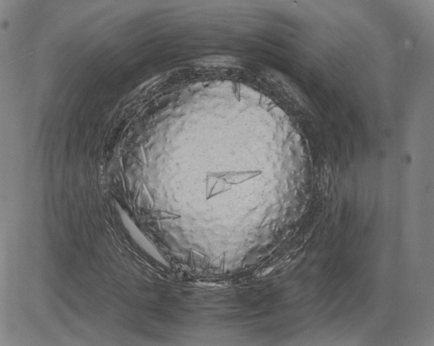 X0000080700821200701050942