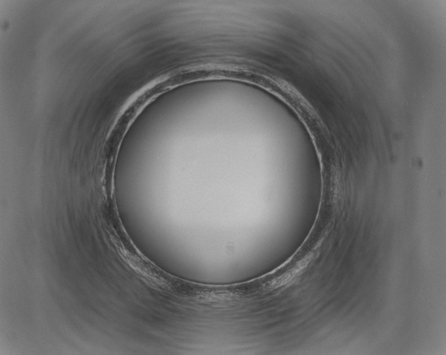 X0000080700830200701050942