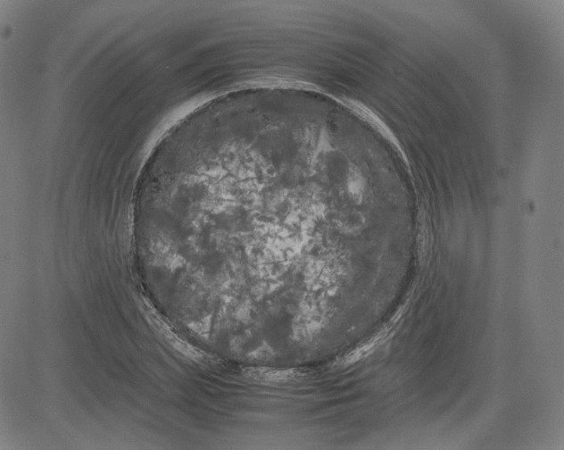 X0000080700831200701050942