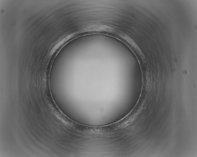 X0000080700834200701050942