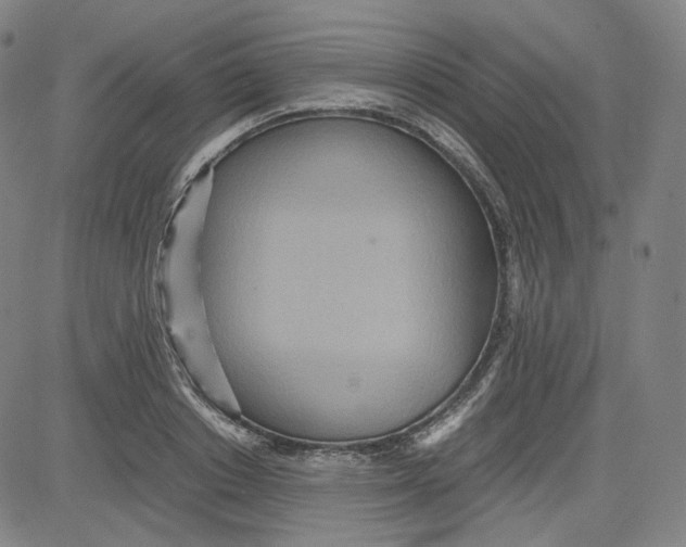 X0000080700842200701050942