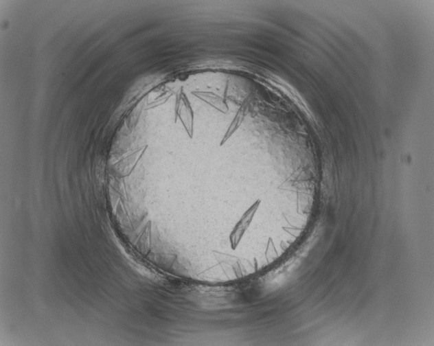 X0000080700849200701050943