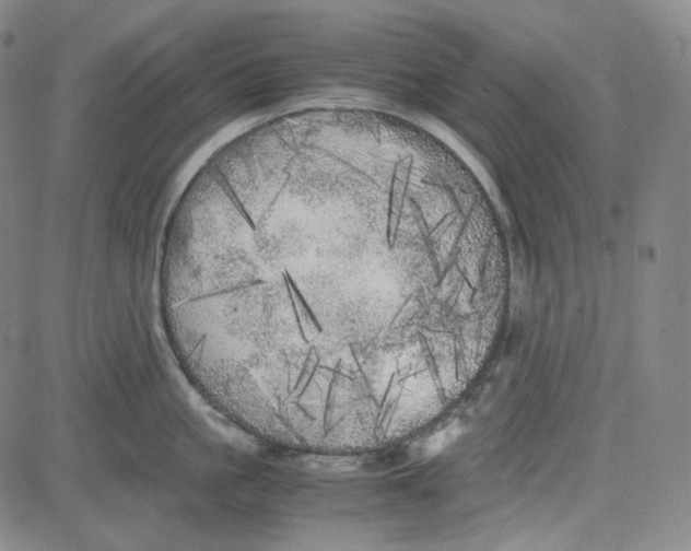 X0000080700861200701050943