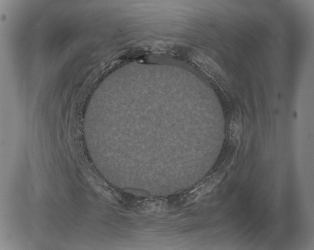 X0000080700865200701050942