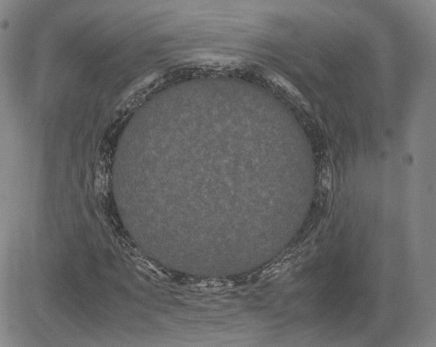 X0000080700869200701050942