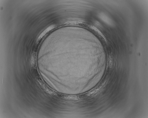 X0000080700874200701050942