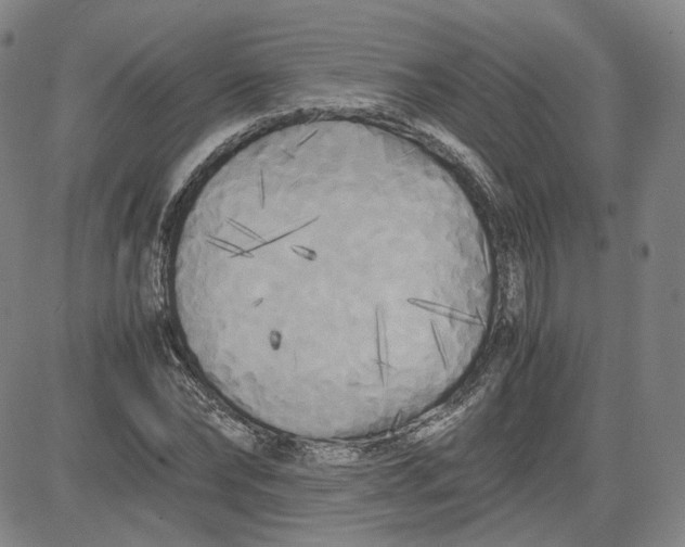 X0000080700878200701050942