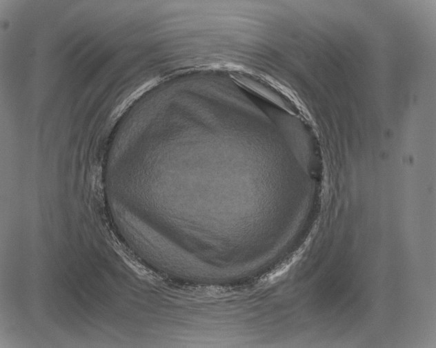 X0000080700881200701050942